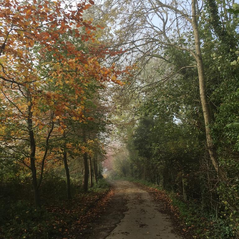 באת' Pathways, Beachwood Cottage מראה חיצוני תמונה