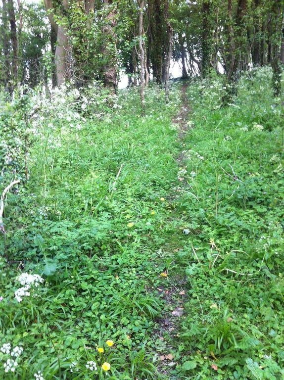באת' Pathways, Beachwood Cottage מראה חיצוני תמונה