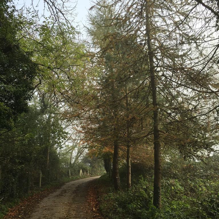 באת' Pathways, Beachwood Cottage מראה חיצוני תמונה